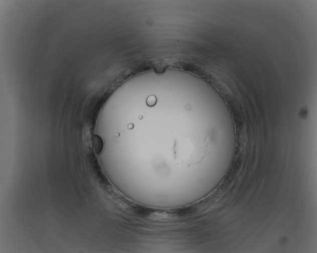 X0000093410699200710120916