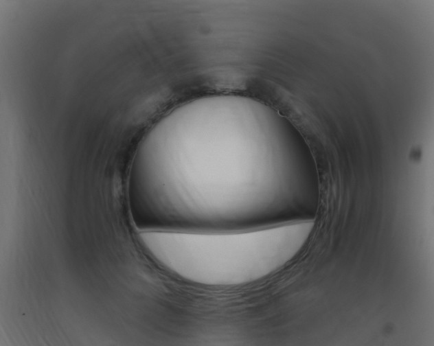 X0000093410704200710120916