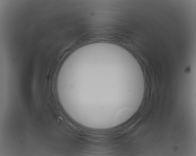 X0000093410705200710120916