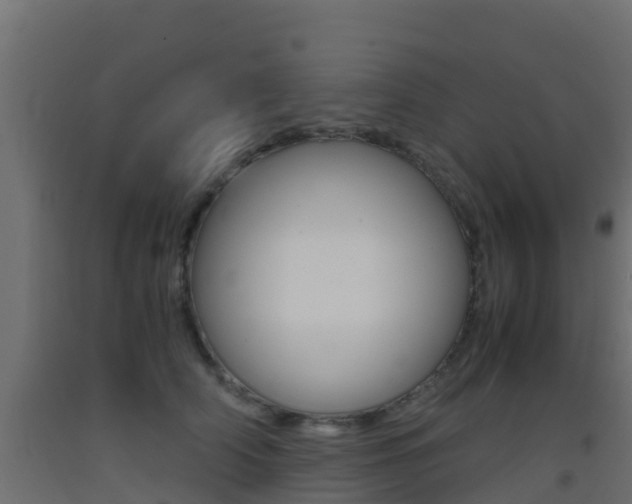 X0000093410706200710120916