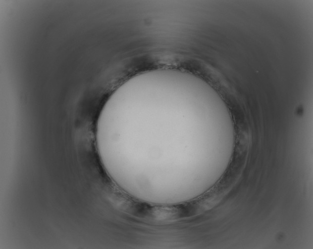 X0000093410707200710120916