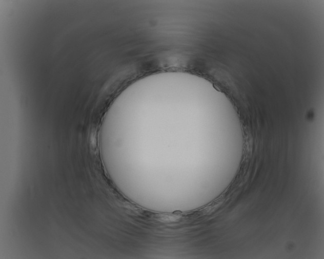 X0000093410709200710120916