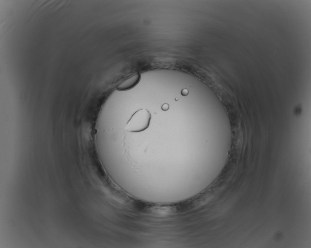 X0000093410711200710120916
