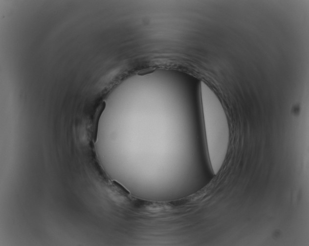 X0000093410712200710120916