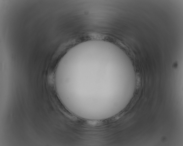 X0000093410713200710120916