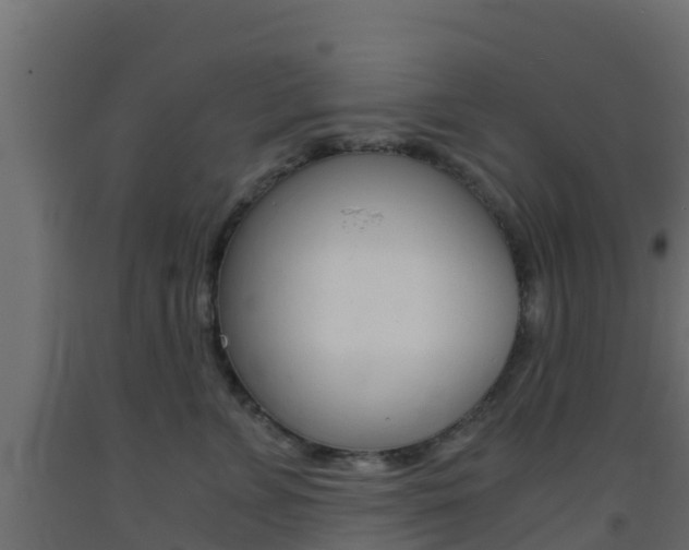X0000093410715200710120916