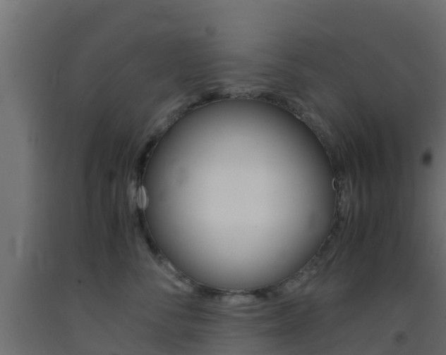 X0000093410716200710120916