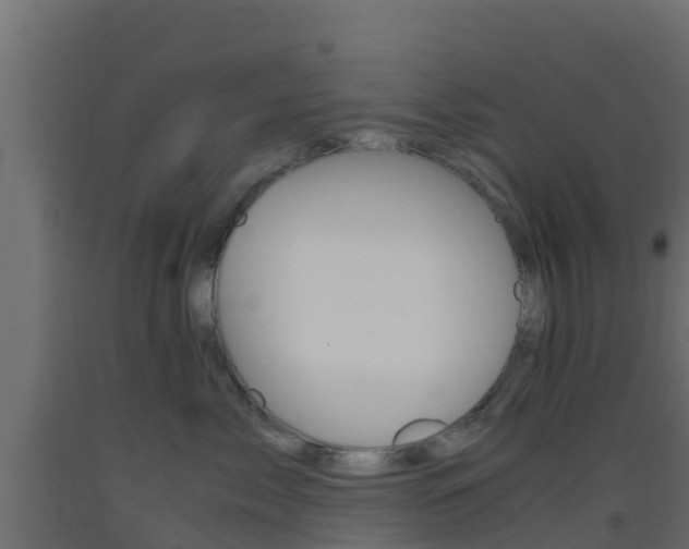 X0000093410717200710120916