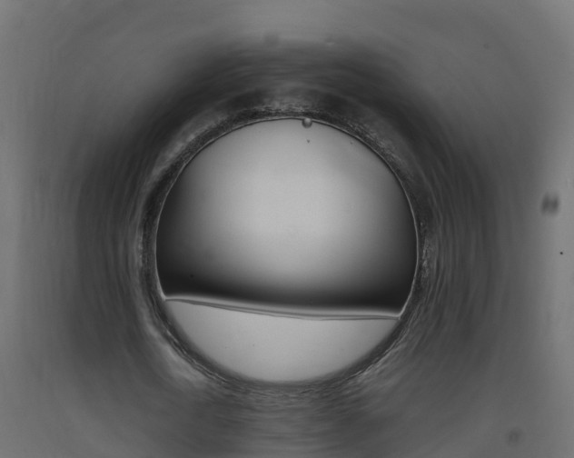 X0000093410722200710120915