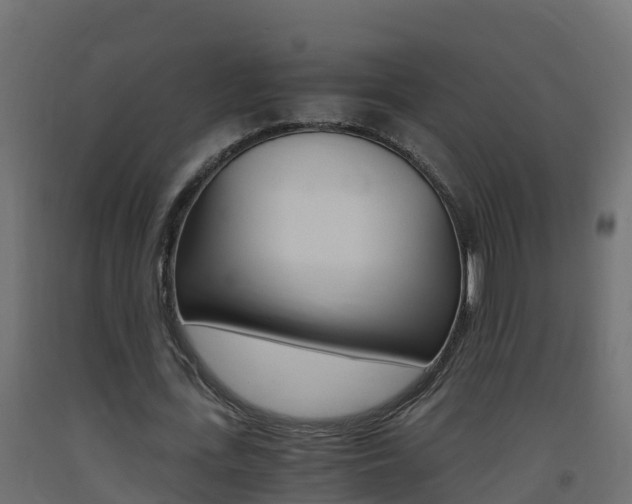 X0000093410723200710120915