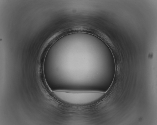X0000093410724200710120915