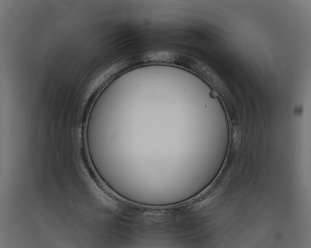 X0000093410725200710120915
