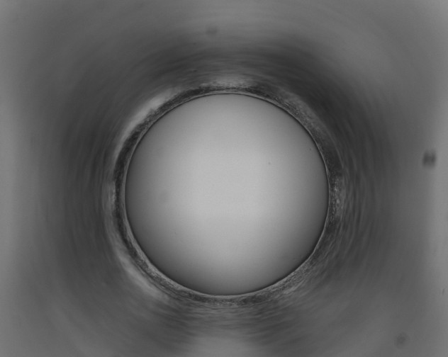 X0000093410726200710120915