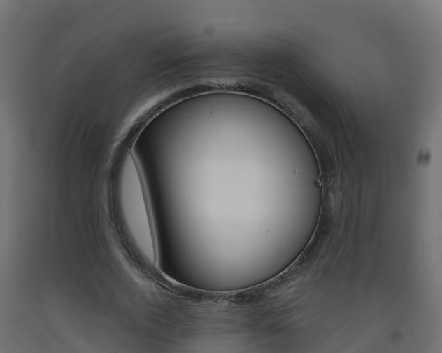X0000093410728200710120915
