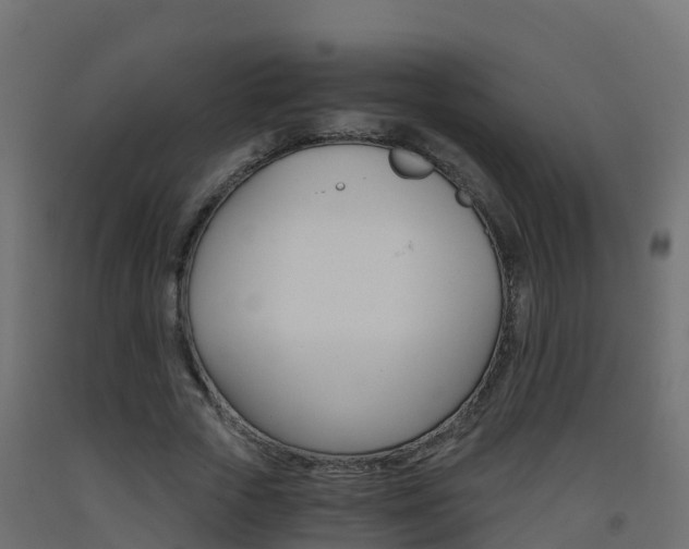 X0000093410729200710120915