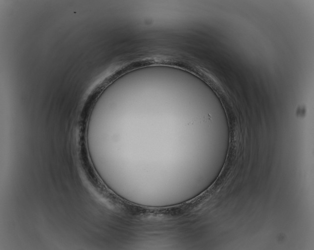 X0000093410730200710120915