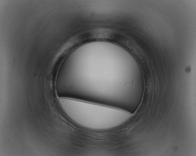 X0000093410731200710120915