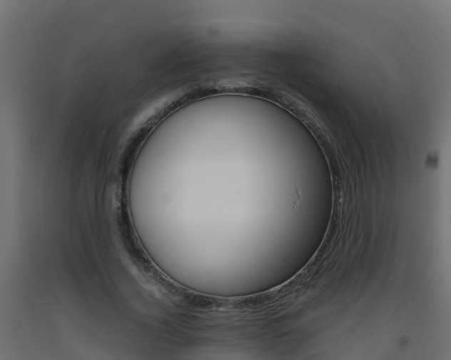 X0000093410732200710120915