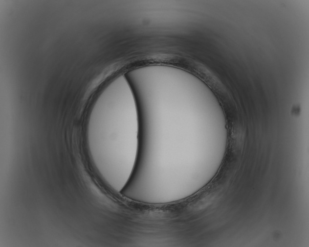X0000093410734200710120915