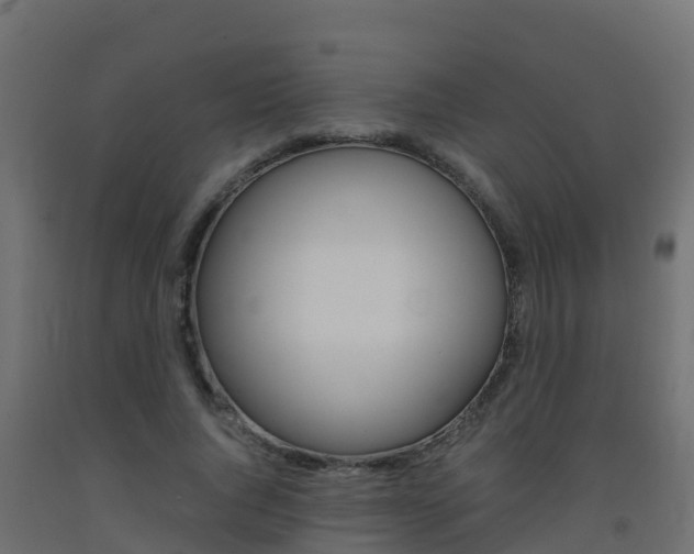 X0000093410736200710120915