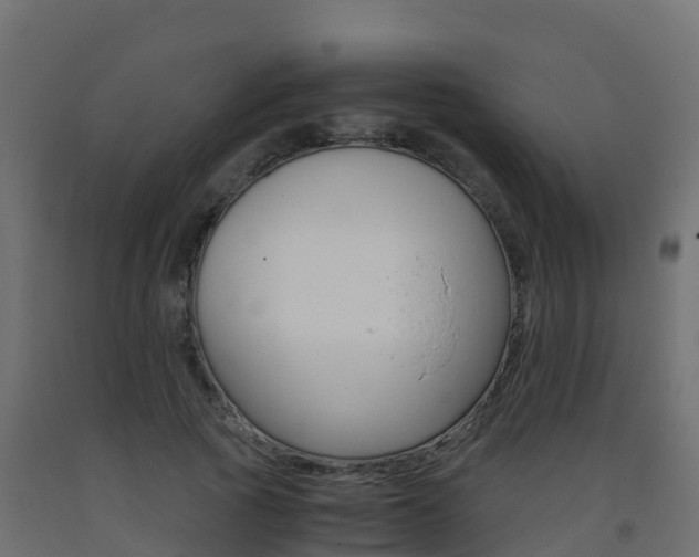 X0000093410737200710120915