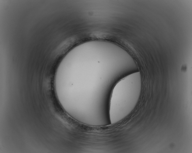 X0000093410738200710120915