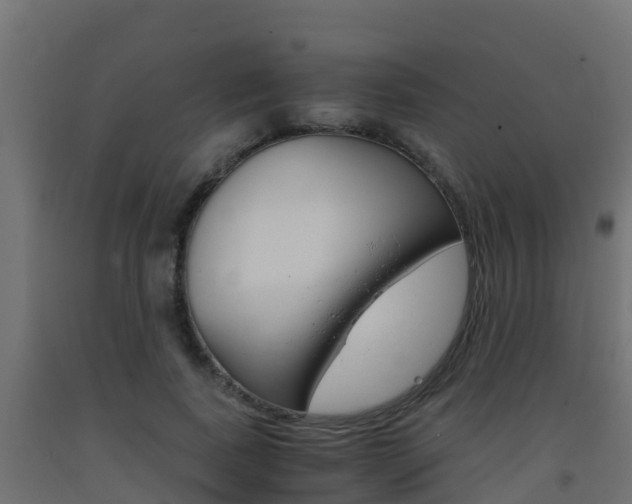 X0000093410739200710120915