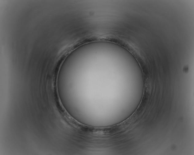 X0000093410740200710120915