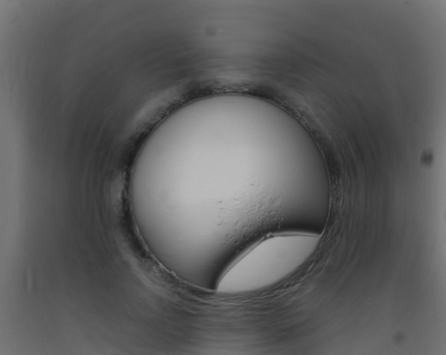 X0000093410742200710120915