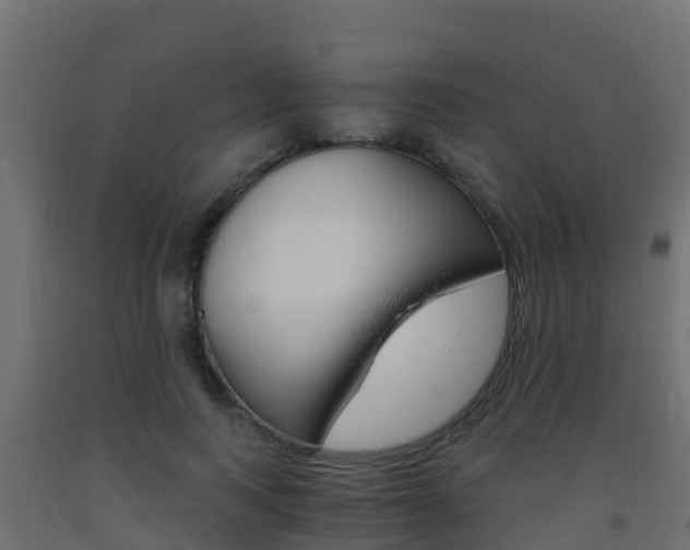 X0000093410743200710120915