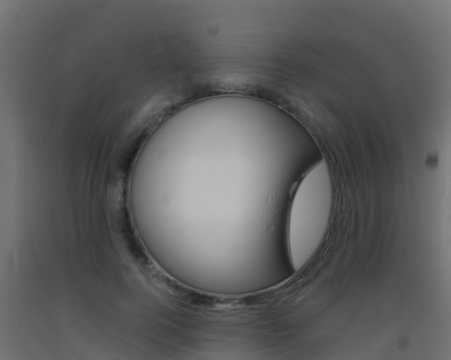X0000093410744200710120915
