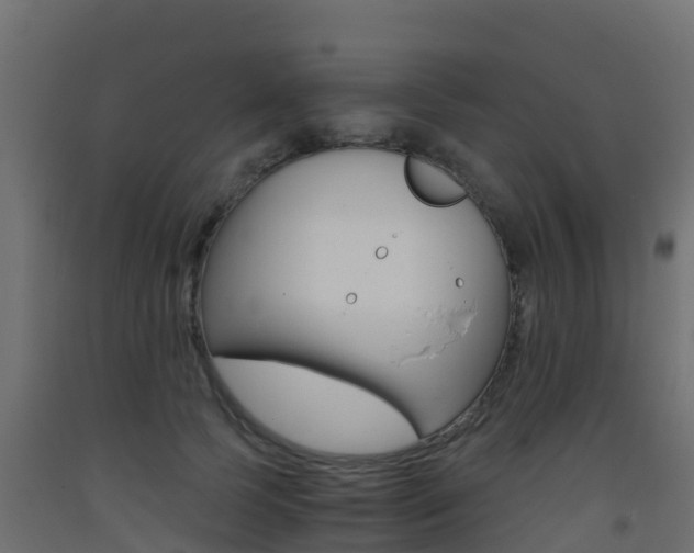 X0000093410745200710120915