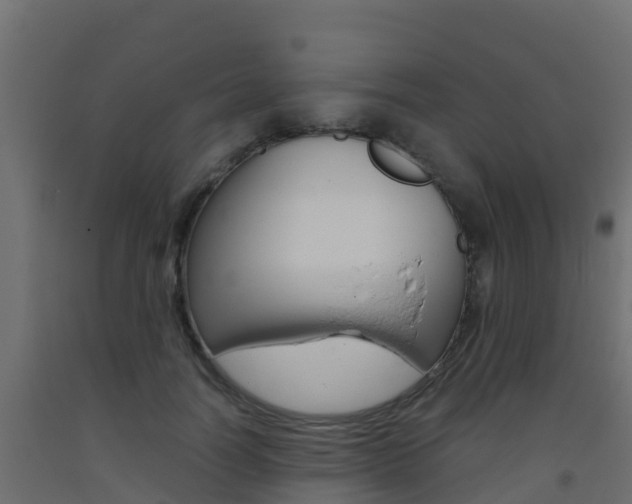 X0000093410746200710120915