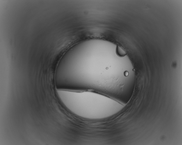 X0000093410747200710120916