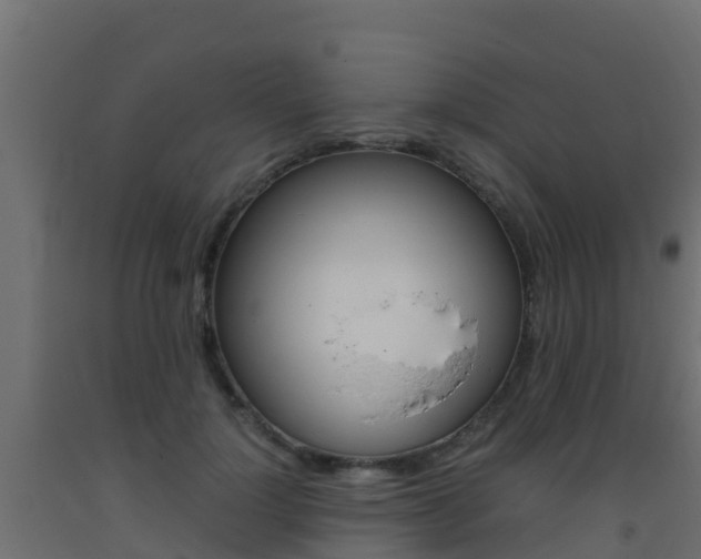 X0000093410748200710120916