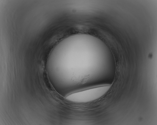 X0000093410752200710120916