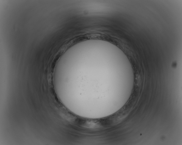 X0000093410753200710120916
