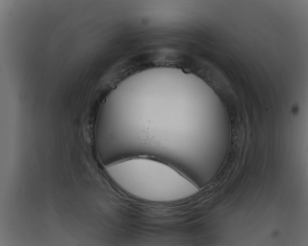 X0000093410755200710120916