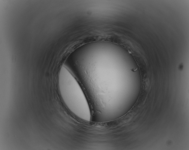 X0000093410756200710120916