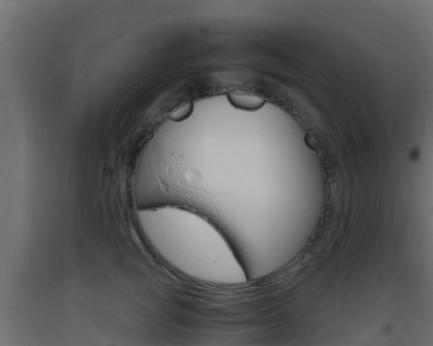 X0000093410757200710120916