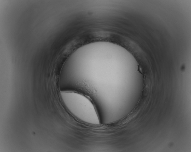 X0000093410758200710120916