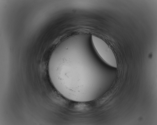 X0000093410759200710120916