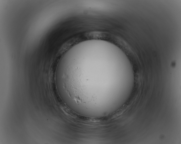 X0000093410760200710120916