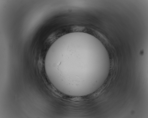 X0000093410761200710120916