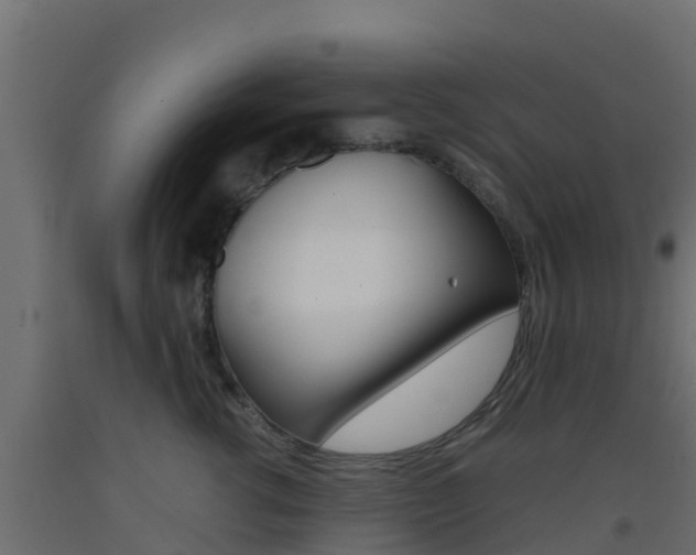 X0000093410762200710120916