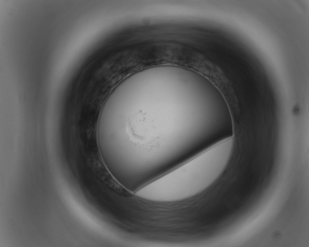 X0000093410766200710120916