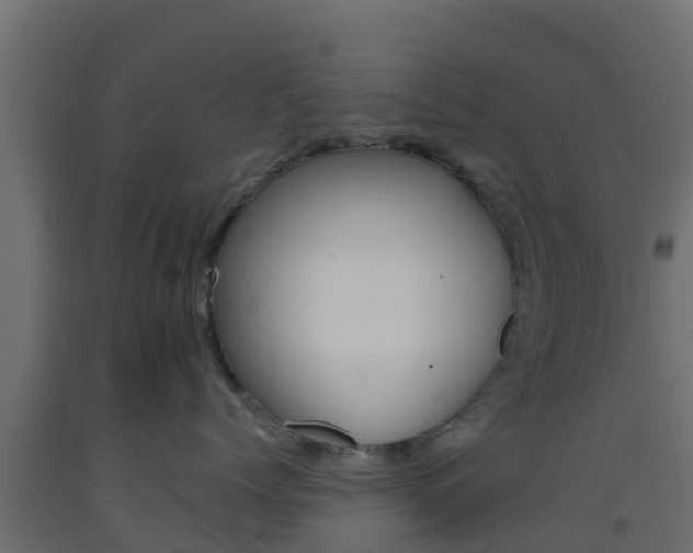 X0000093410768200710120916
