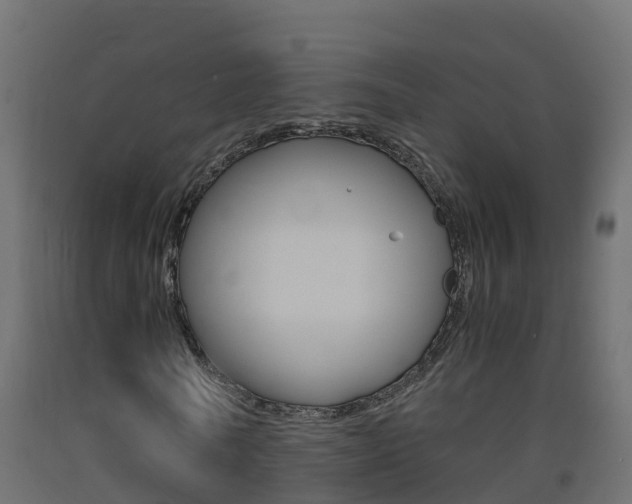 X0000093410770200710120915
