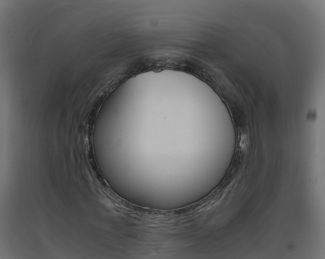 X0000093410771200710120915