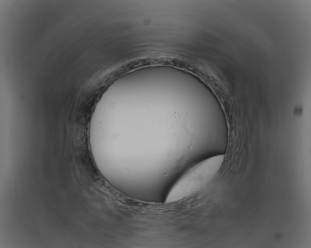 X0000093410773200710120915